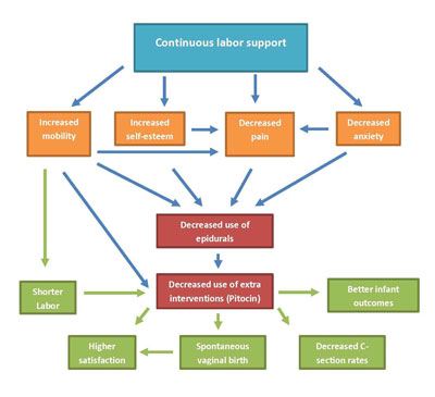 Conceptual model for continuous doula support